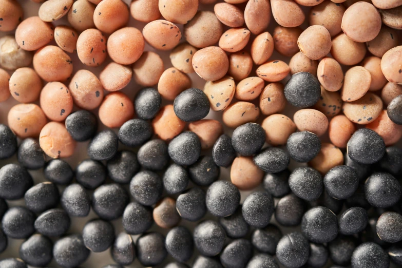 several different types of beans are stacked on top of each other