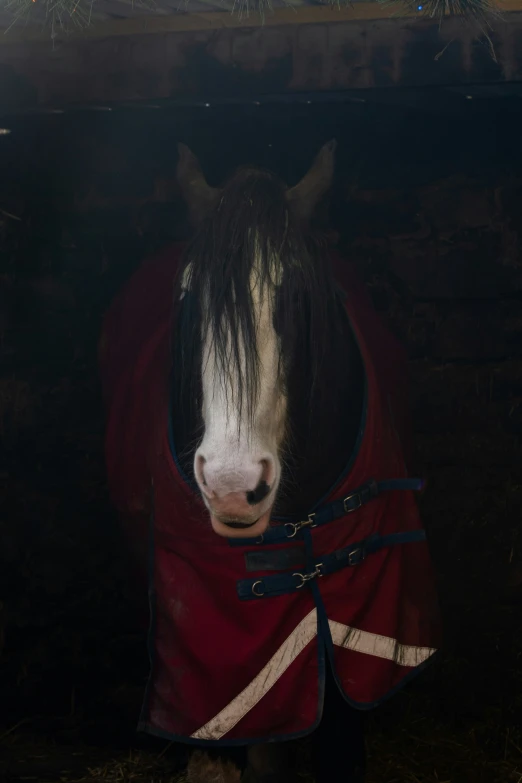 a horse is wearing a blanket near a stable