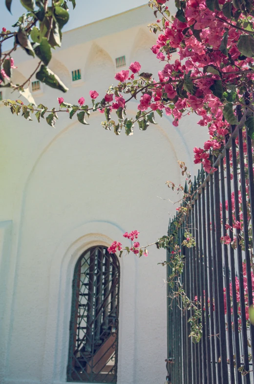 an iron gate with purple flowers and arched windows