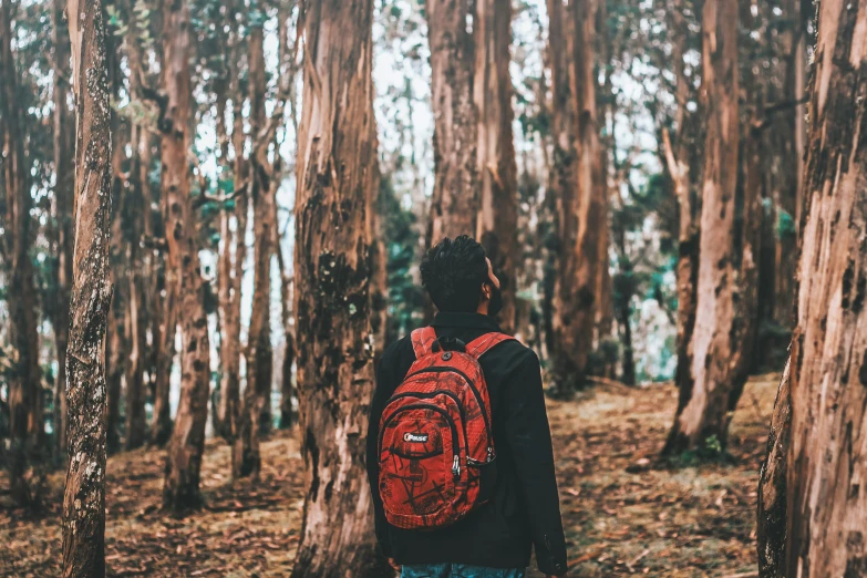 a person with a red backpack walking through the forest