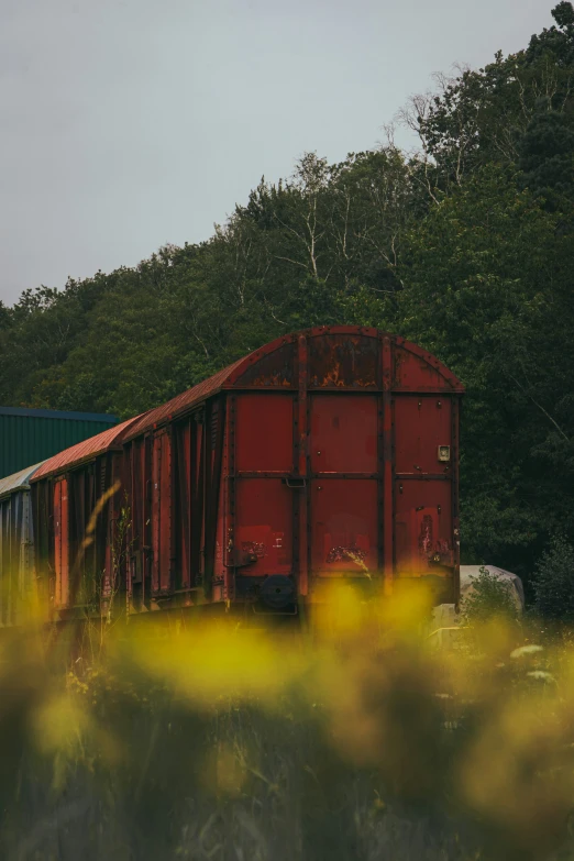 old train car sitting in the middle of field