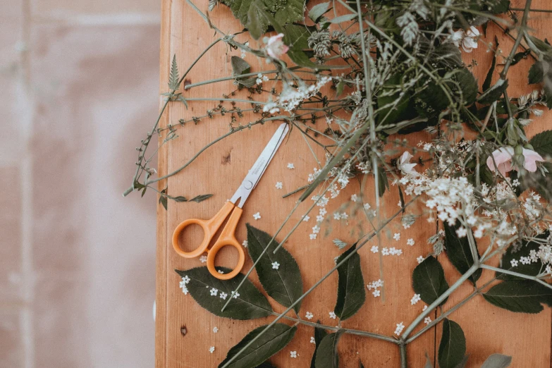 a pair of orange handled scissors resting on an area of greenery