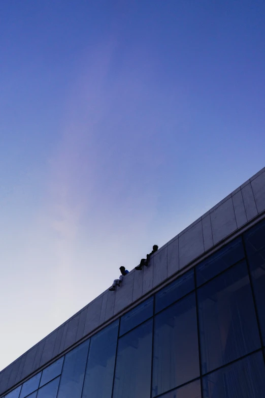 the building has windows and birds sitting on top