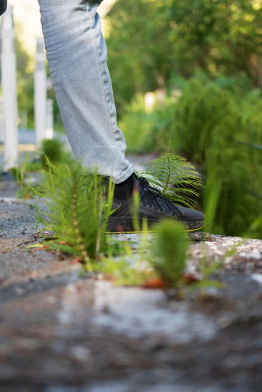 a man's foot stepping on cement pavement between some bushes