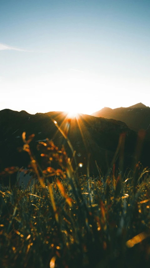 the sun peeks through grass in the valley