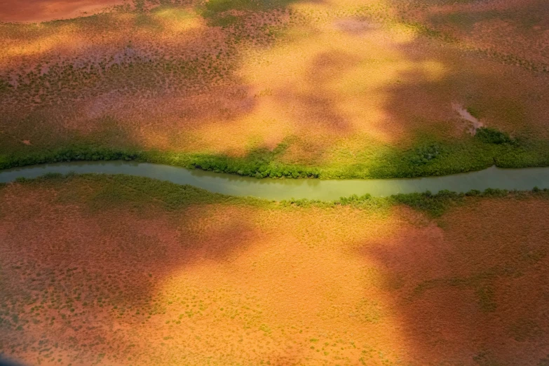 the landscape shows orange and yellow grass with small, green patches