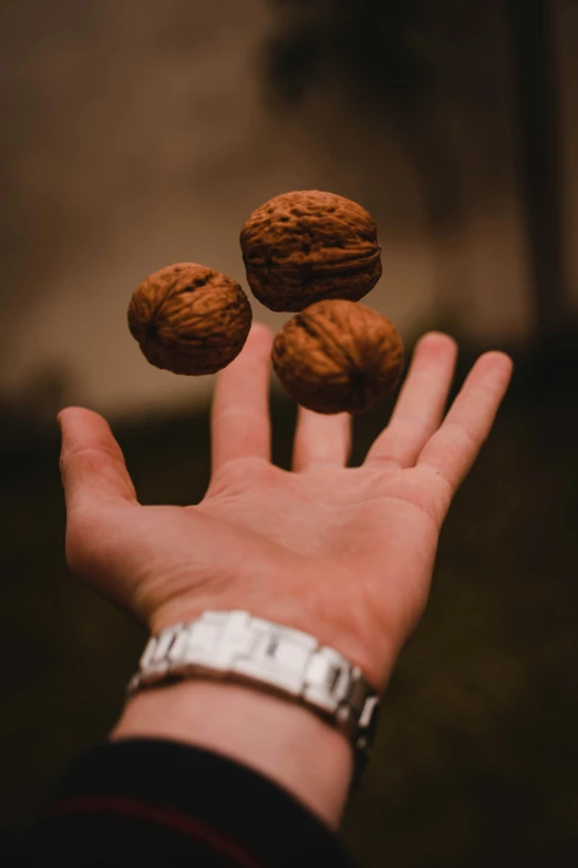 someone is holding three nuts in their hand