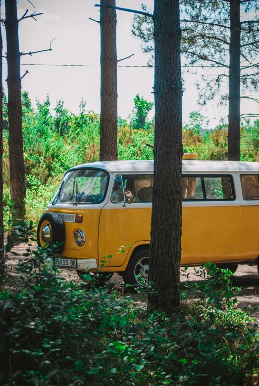 a vw bus parked in the middle of the forest