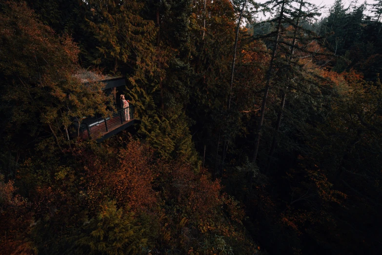 people walking on a wooden bridge that is surrounded by trees