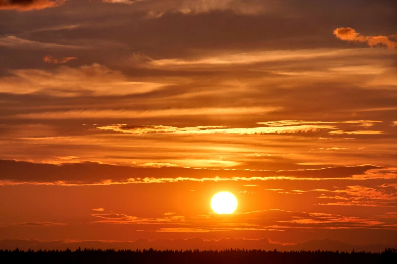 a bird sits on the end of a pole as the sun sets