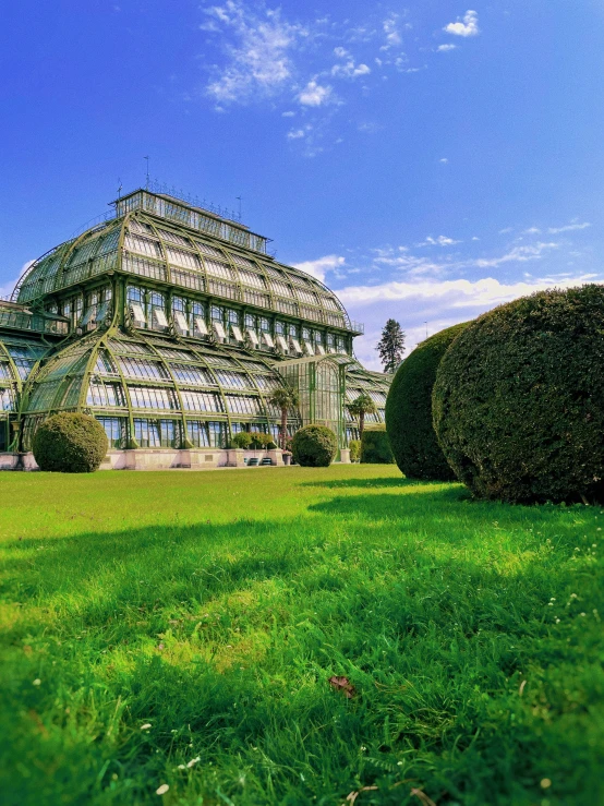 a building in the distance next to some plants