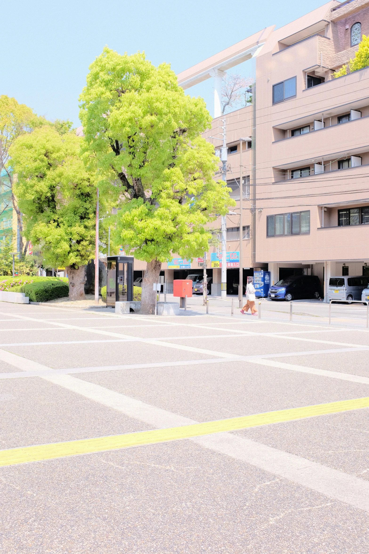 trees line the empty square on the sidewalk