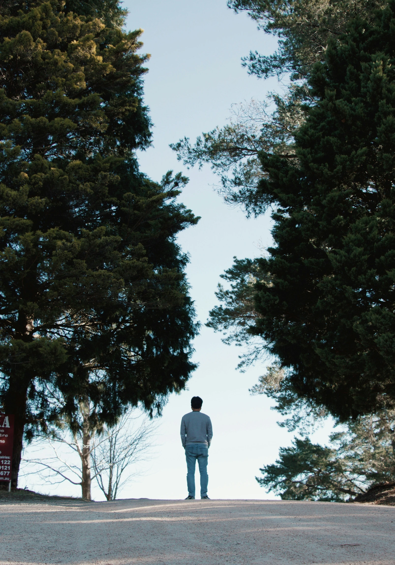 a man stands at the end of a road looking up towards the trees