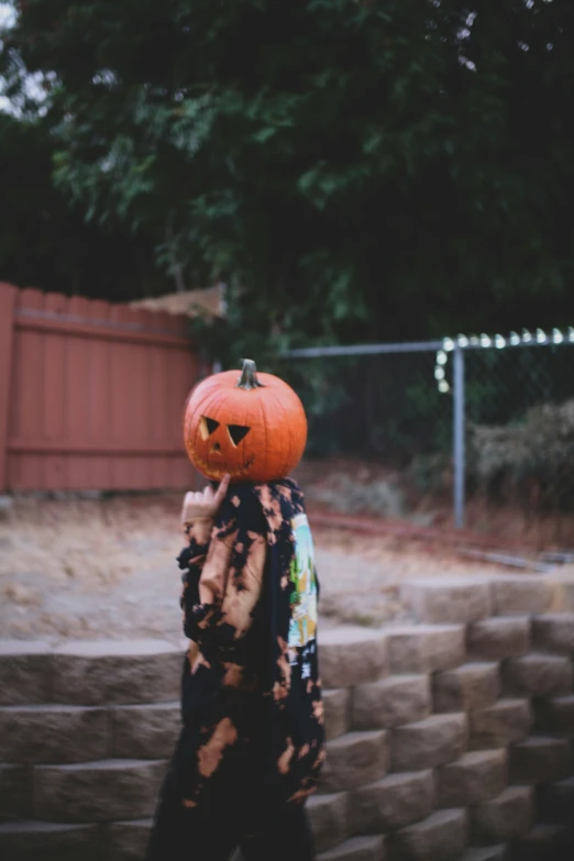 a  wearing a decorated pumpkin on his face