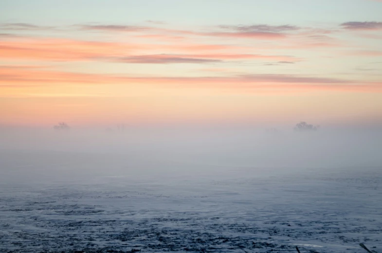 the fog has been rising to help it feel like the ocean is quiet