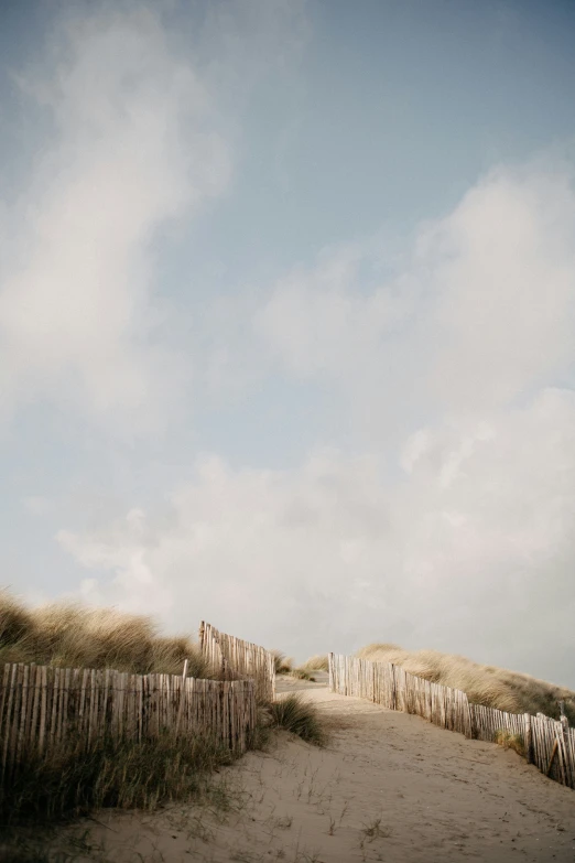 a beach path leading to the shore with a fence