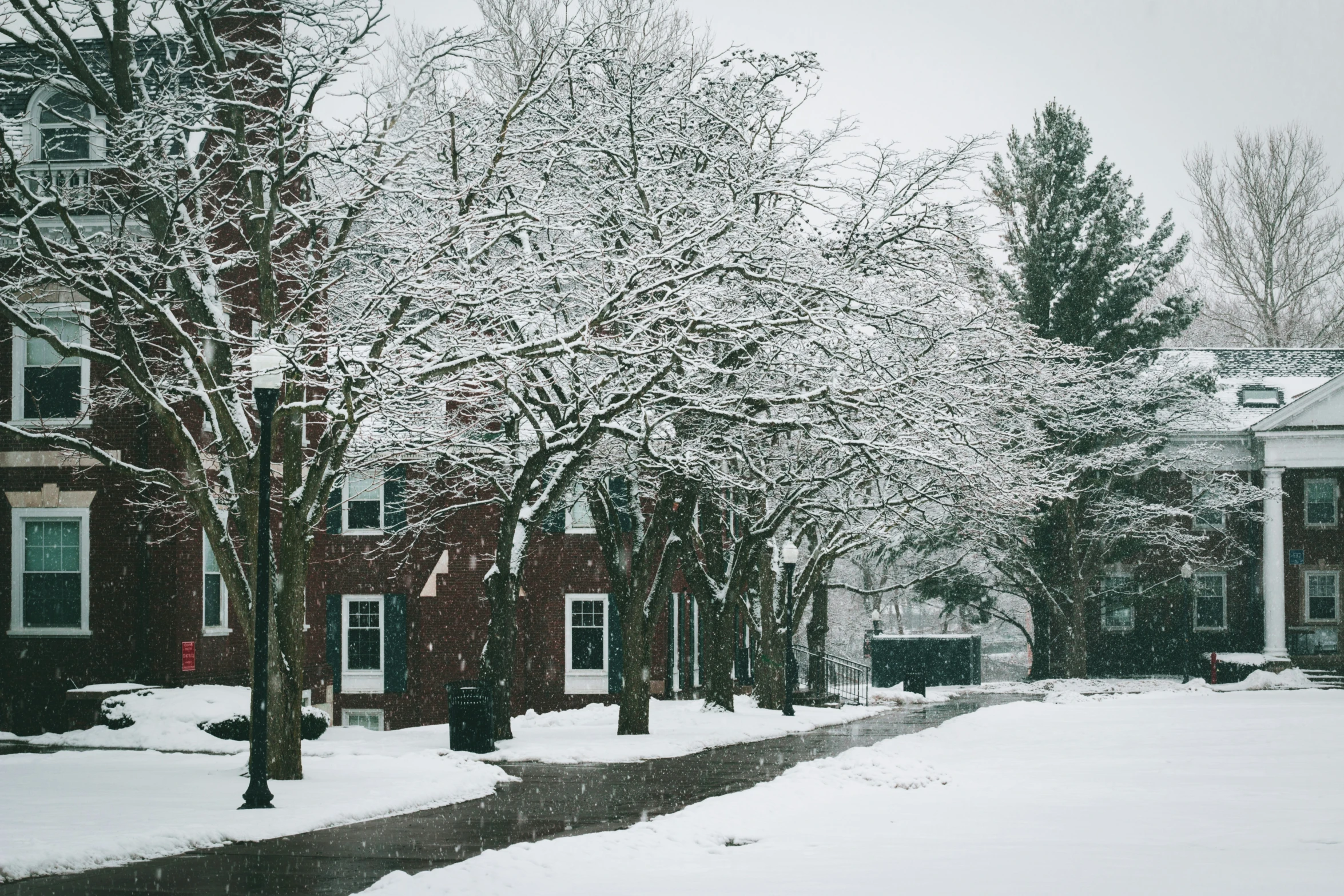 a street has snow on it and several trees