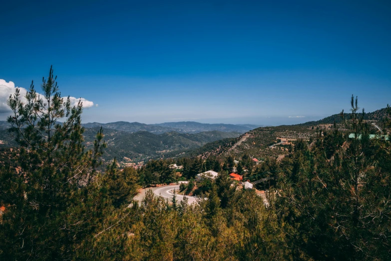 a road and trees, on top of a hill