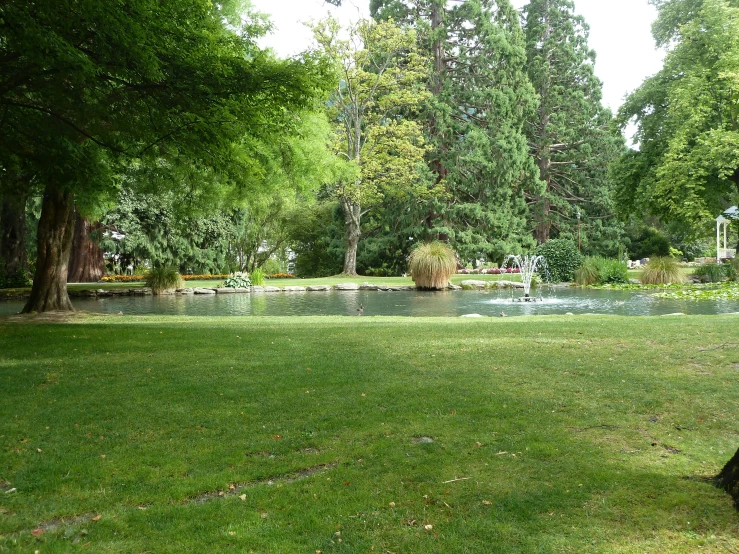 the woman is sitting on the bench watching her dog