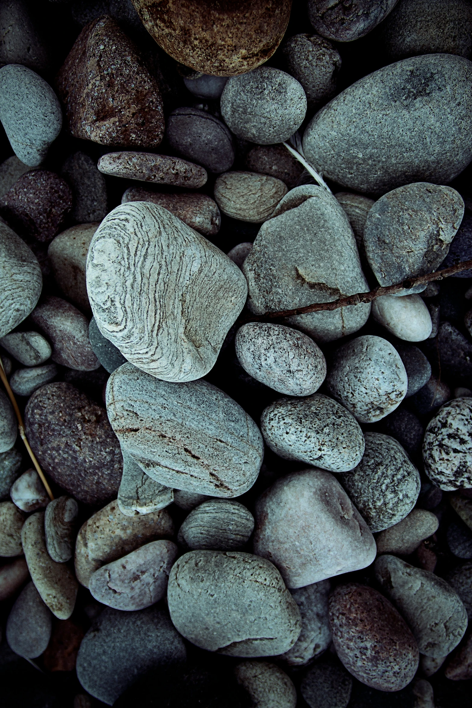 pebbles and twig lie on a large rock