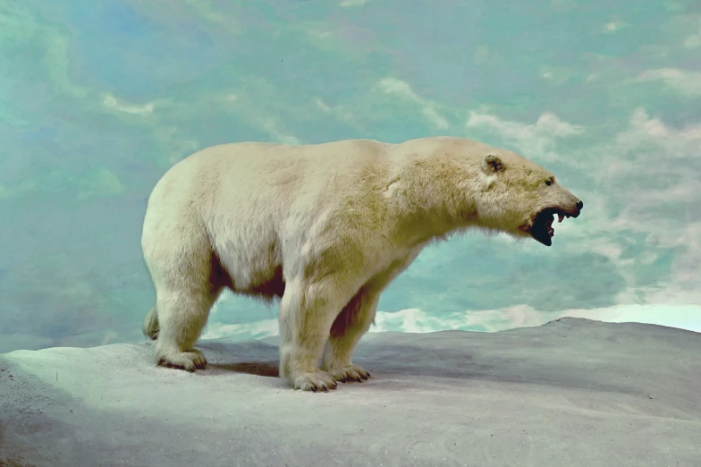 a stuffed polar bear is standing on a rock