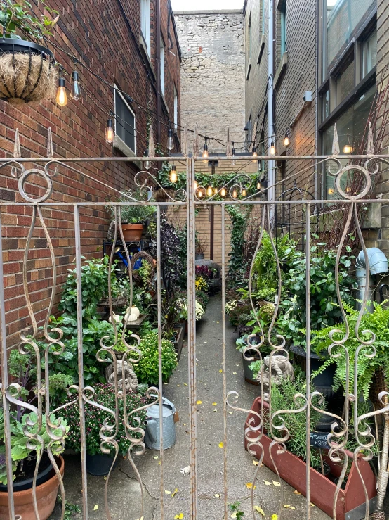 an outdoor garden setting with many plants in the middle of the path