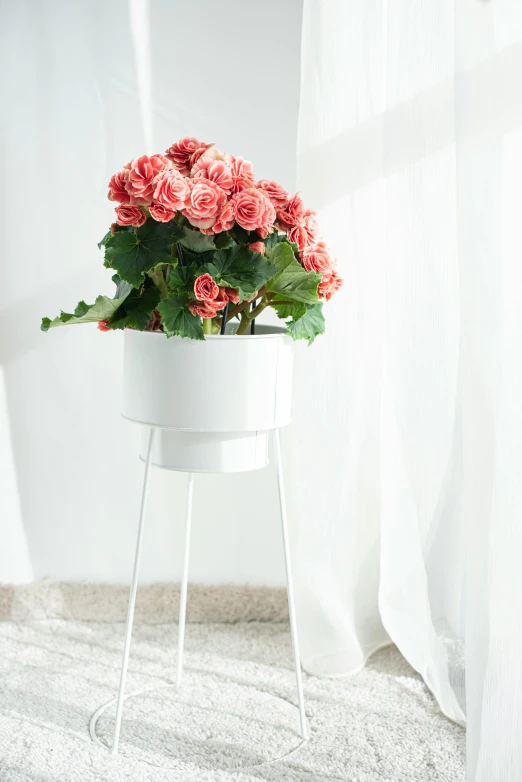 pink flowers are in a white flower pot on a stand