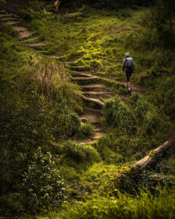 a person hiking up a path in a field