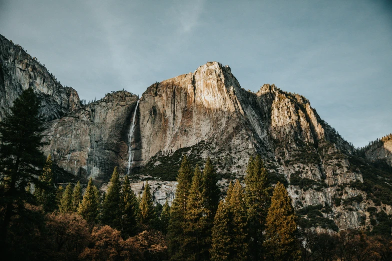 a rocky mountain with tall trees in the foreground