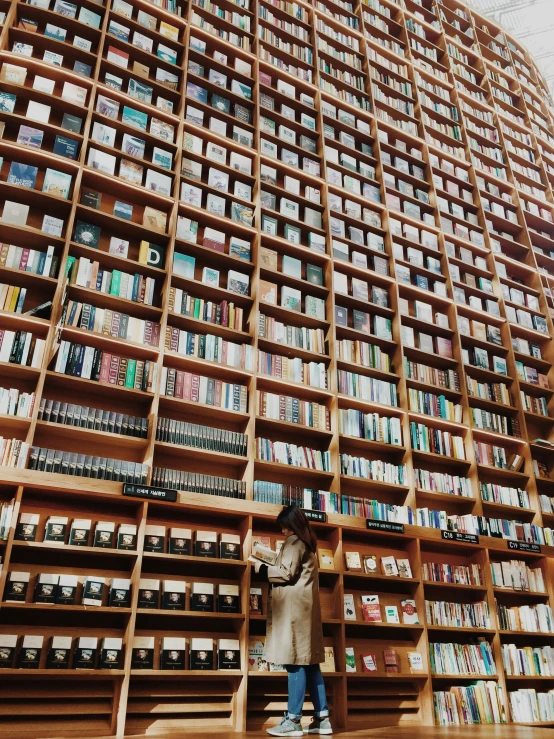 a person standing in front of a huge bookshelf