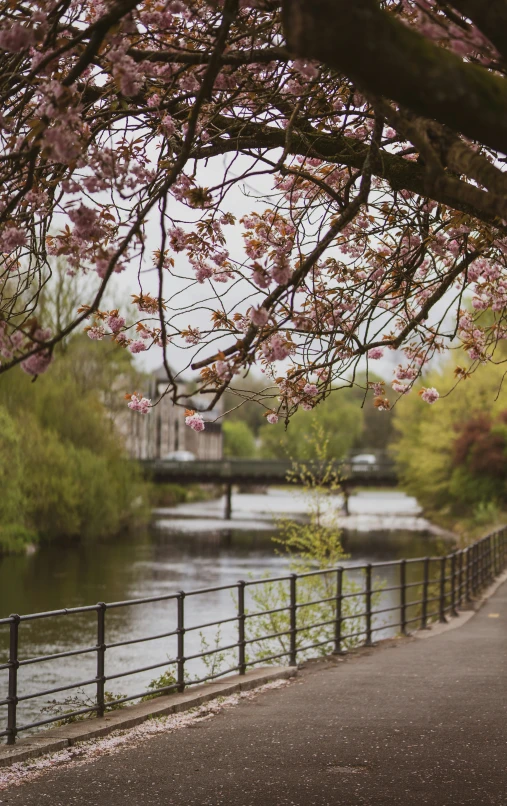 a man walks down the sidewalk next to the water