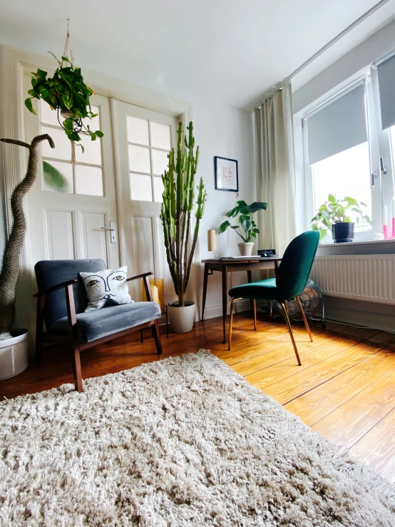 living room with wooden floors, plants and furniture