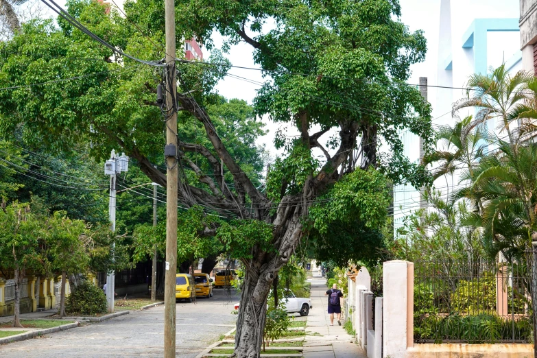 a woman and child walk down the road next to trees