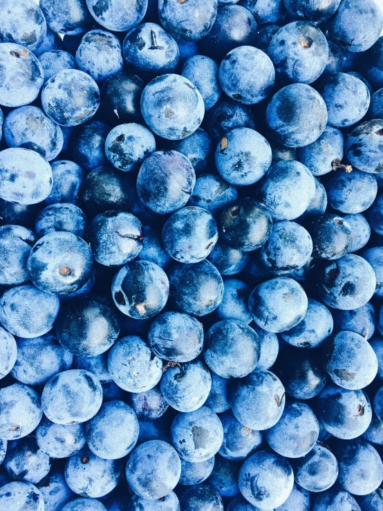 a pile of blueberries that is sitting on the ground