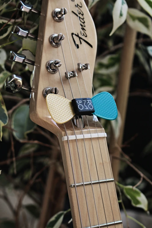 the top of a guitar that is hanging on the tree