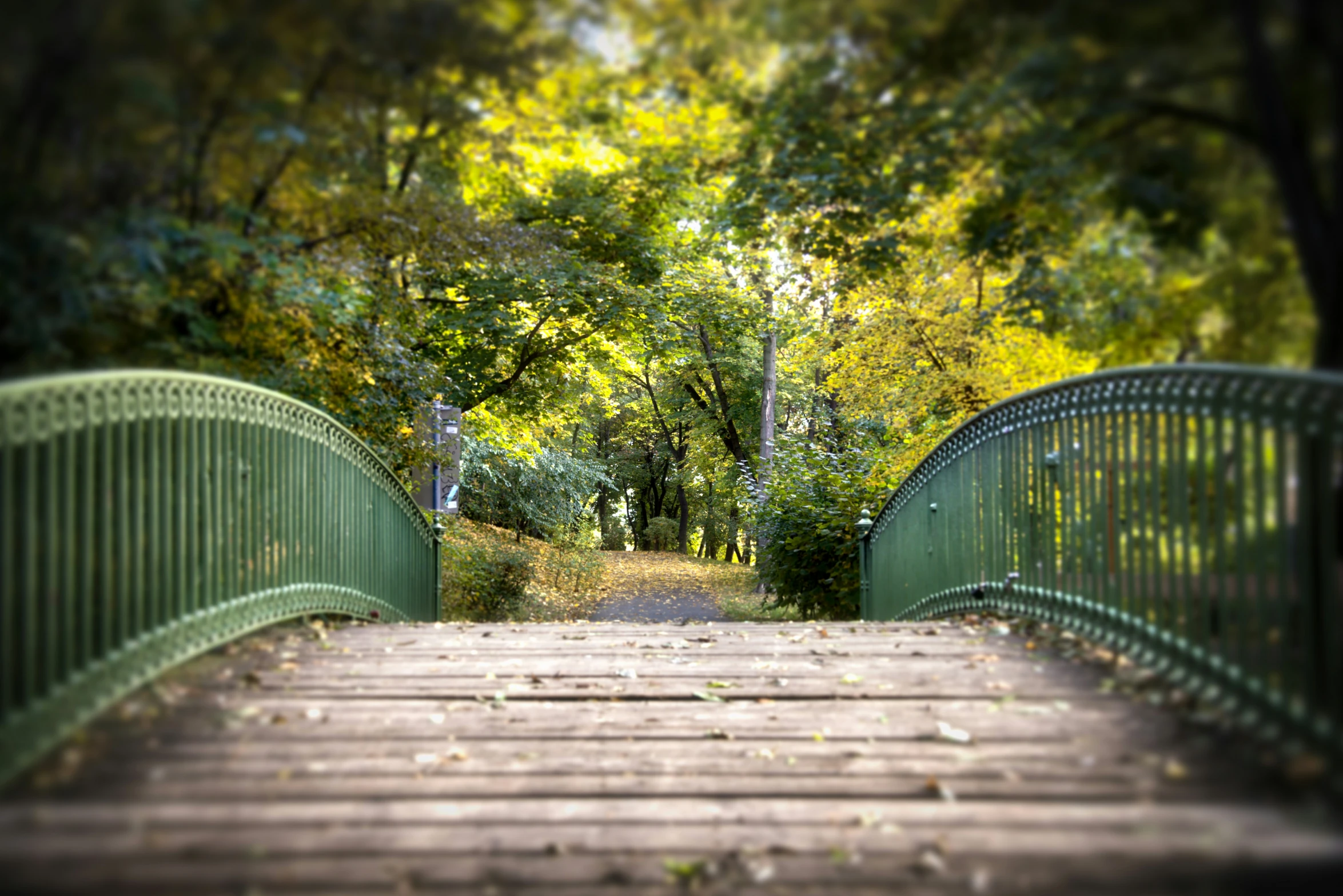 there is an iron gate leading into the woods