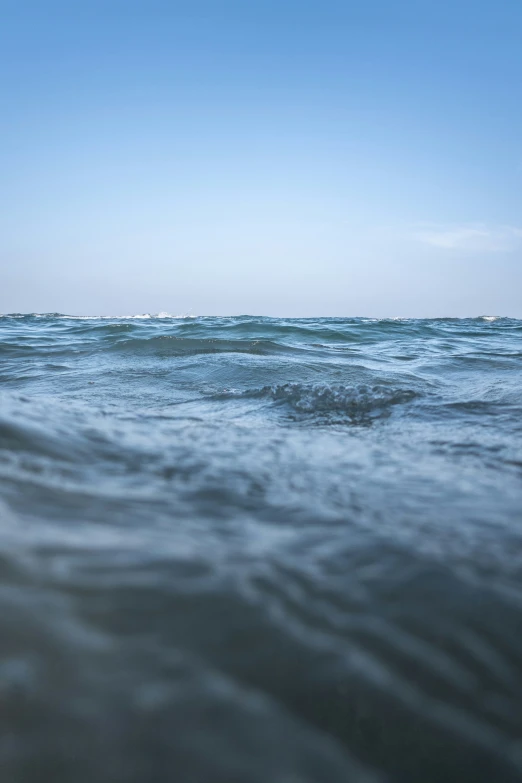 a small bird sitting on top of an ocean wave