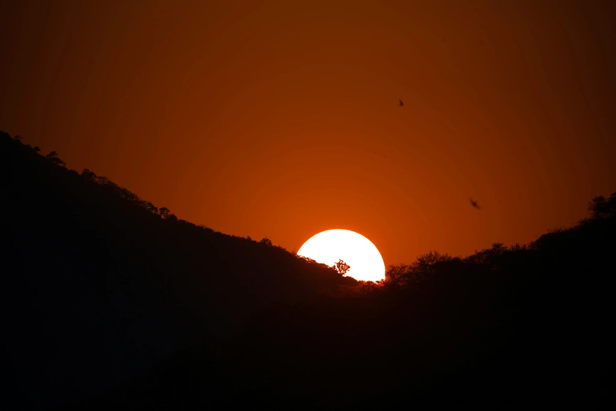 sun rising behind hills with birds flying overhead