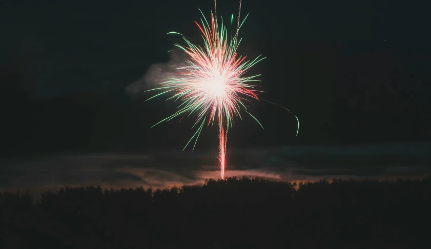 a large fireworks is set off in the night sky