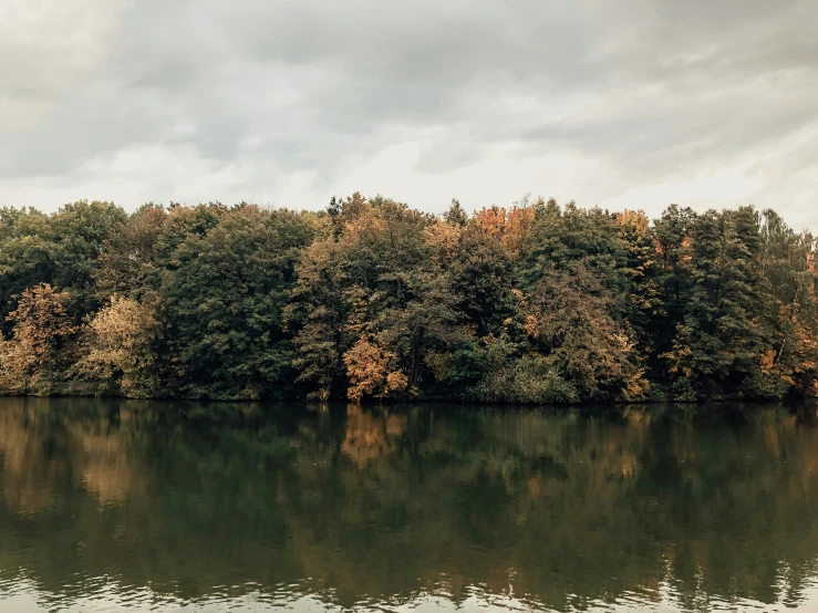 there is a boat in the water by trees