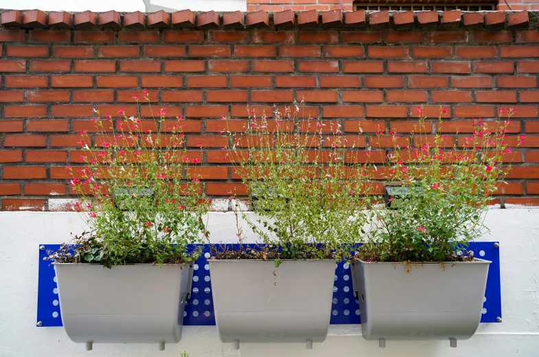 three flower pots lined up against a wall