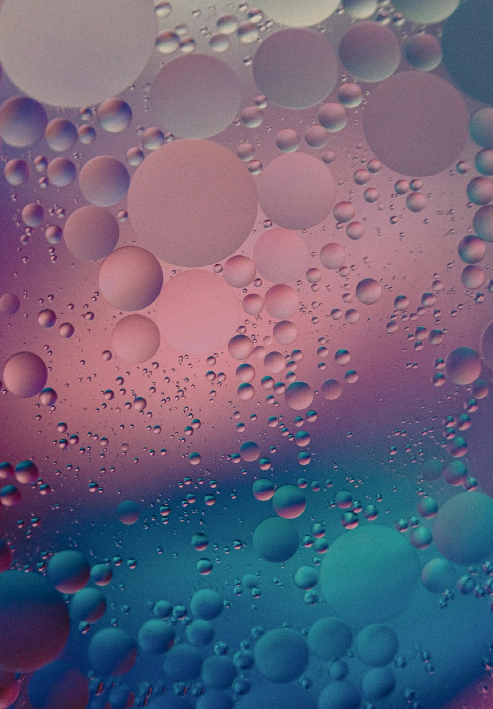 water droplets are visible in the multicolored pograph