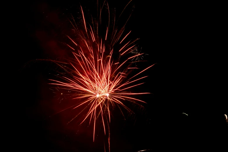 the fireworks are glowing on the night sky