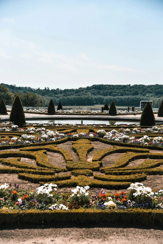 a large maze with lots of flowers surrounding it