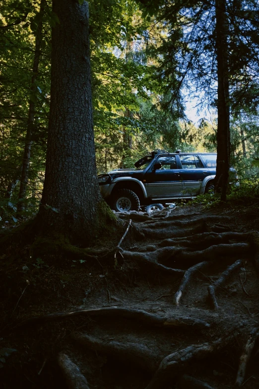 this is an off road truck in the woods
