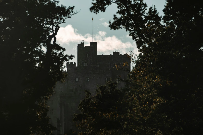 looking at the castle through the trees towards its tower