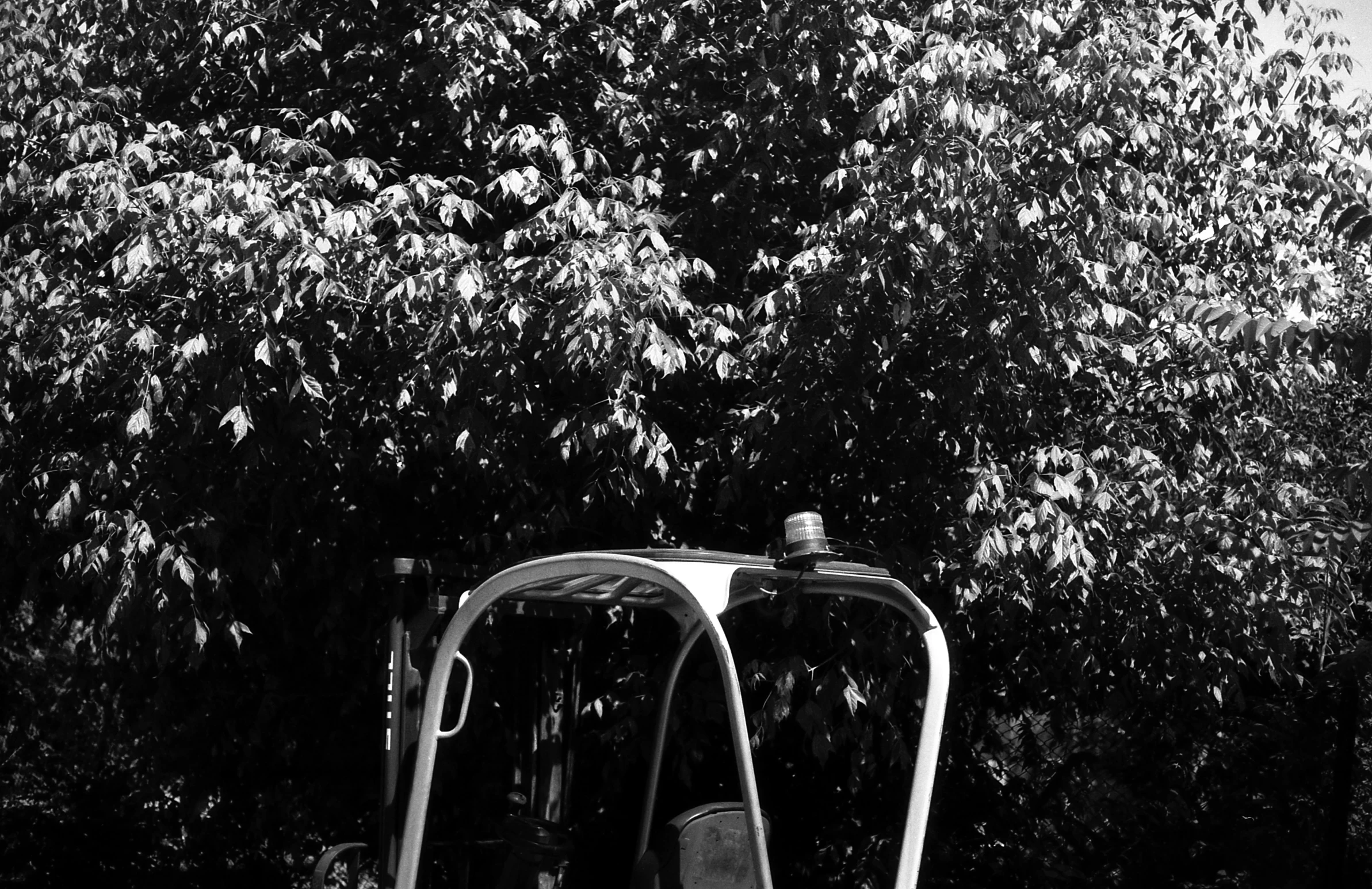 two park seats next to one another under a tree