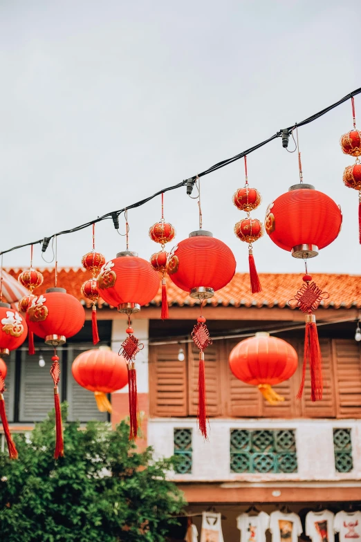 the chinese lanterns are hanging on the tree