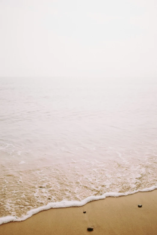 some brown footprints in the sand next to the ocean