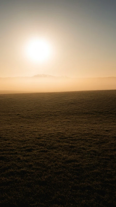 a lone horse standing in a field with the sun